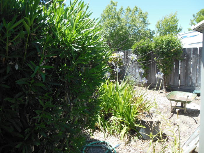 Listing photo 17